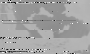 MHS-1.png